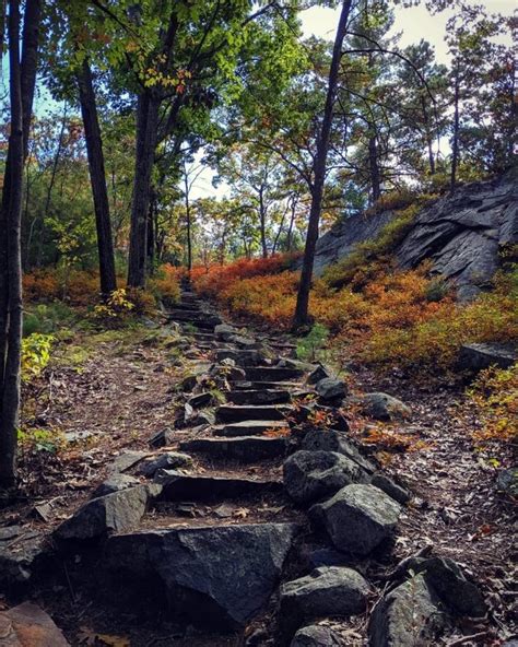 Blue Hills Reservation: The #4 Most Googled Hike in Massachusetts | Massachusetts travel, Hiking ...