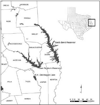 Location of Texas counties and Toledo Bend, Sam Rayburn and B. A ...