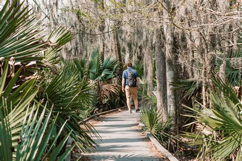 Barataria Preserve Near New Orleans » Local Love & Wanderlust