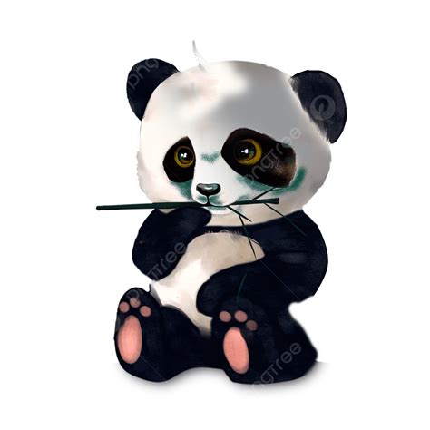 Panda Eating Bamboo PNG Transparent, Hand Painted Cute Panda Eating ...