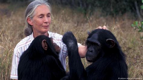 ′The biggest problem is greed′ says conservationist Jane Goodall | Environment | All topics from ...