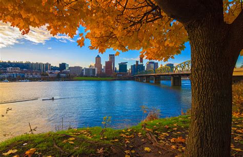 Portland Oregon Waterfront Stock Photo - Download Image Now - iStock