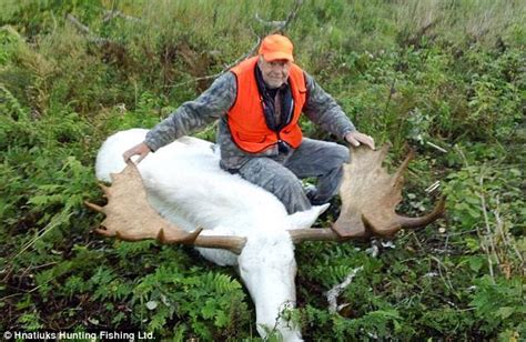 Hunters apologise after killing rare albino moose in Canada | Daily Mail Online