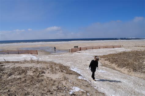 Winter scenes from North Sauble Beach | Sandpiper & Seagull