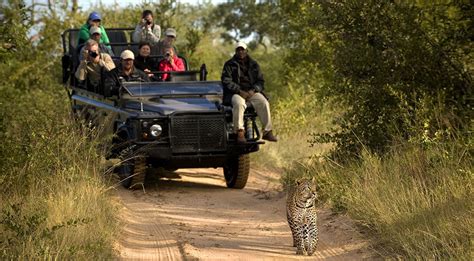 Lion Sands Ivory Lodge - Sabi Sand Safari Lodges | Safari Guide Africa