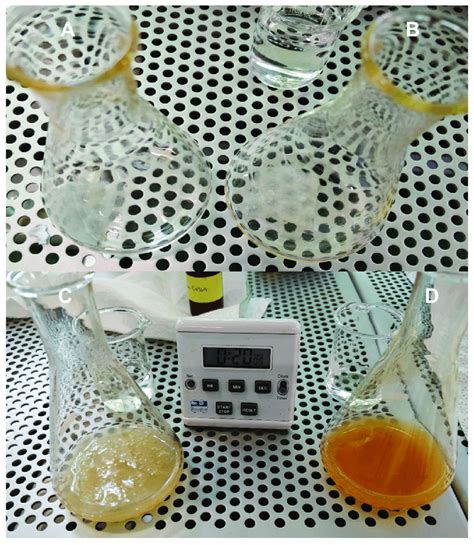 Differences between a type I Fenton reaction and a type II Fenton... | Download Scientific Diagram