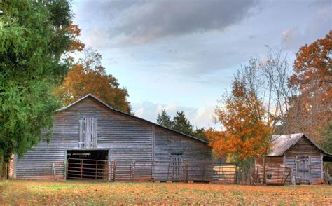 North Georgia Fall Colors!