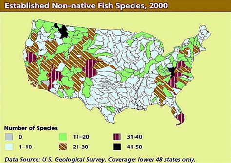 Invasive Species: The Search for Solutions