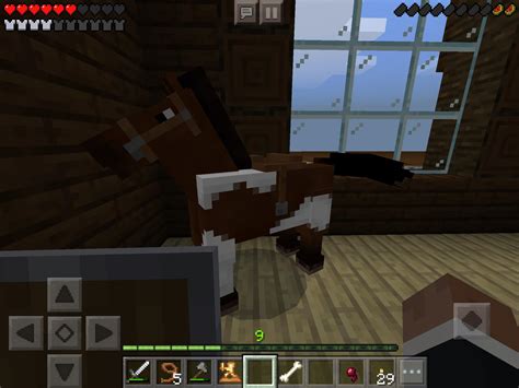 Any names for my horse : r/Minecraft