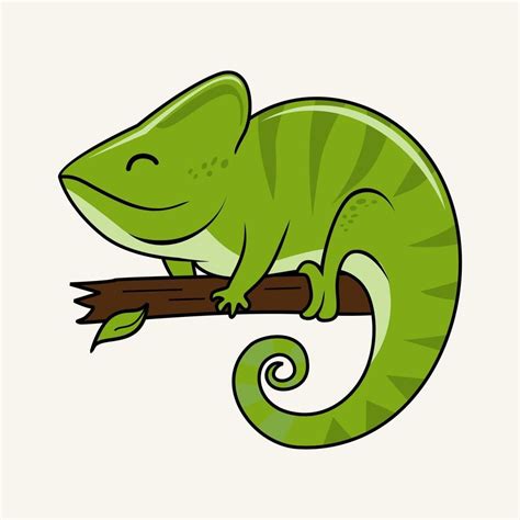 camaleón, ilustraciones, caricatura, aislado | Dibujos de camaleones, Chameleon, Illustration