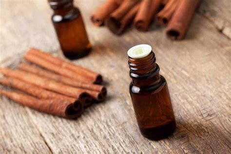 Cinnamon Oil: The Benefits For Your Hair | Wimpole Clinic