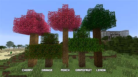 Minecraft Types Of Trees