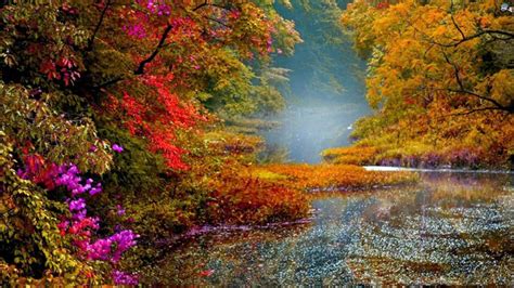 Beautiful Scenery Colorful Autumn Fall Trees HD Scenery Wallpapers | HD ...