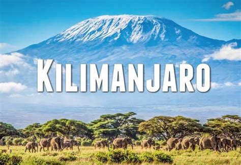 Mount Kilimanjaro Summit Challenge! – Travel Medals