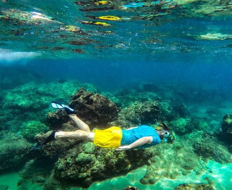 10 Best Waikiki Snorkeling Tours in Honolulu - Uprooted Traveler