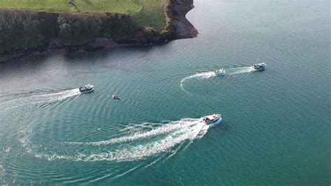 Visit Dingle Dolphin Boat Tours with Discover Ireland