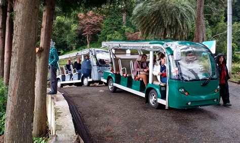 Batumi Botanical Garden