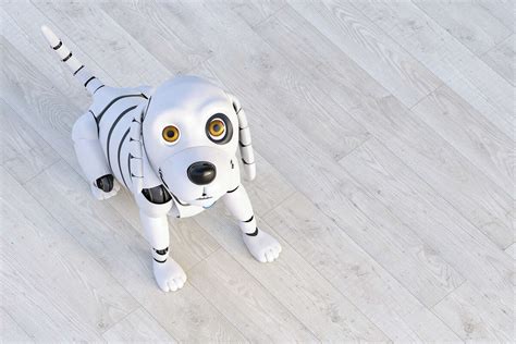 Innovative pet products that seem like they're from the future