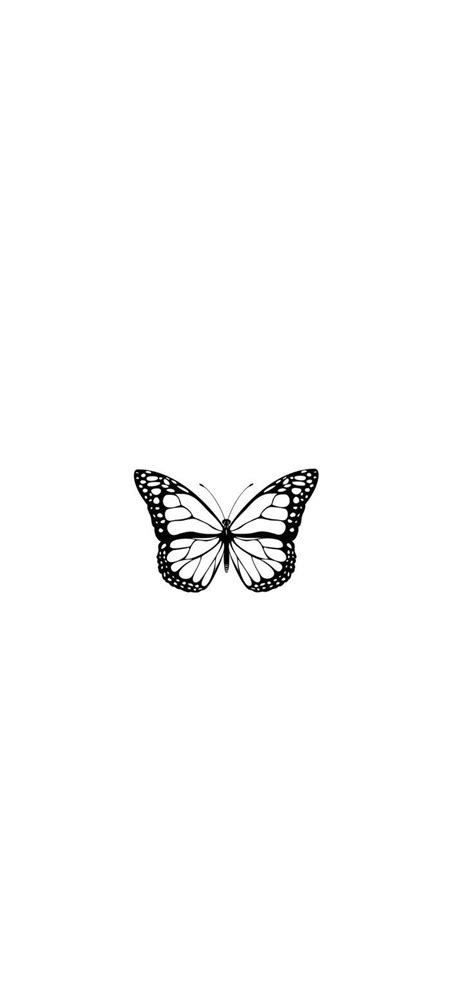 Butterfly wallpaper 🦋 | Black and white wallpaper iphone, White ...