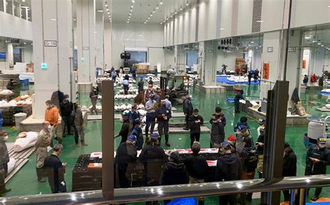 Tuna Auction at Toyosu Fish Market Complete Guide