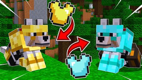 Is there wolf armor in Minecraft? - Rankiing Wiki : Facts, Films ...