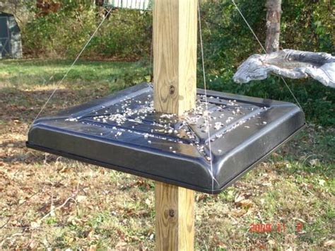 Fresh 75 of How To Make A Squirrel Baffle For Bird Feeder ...