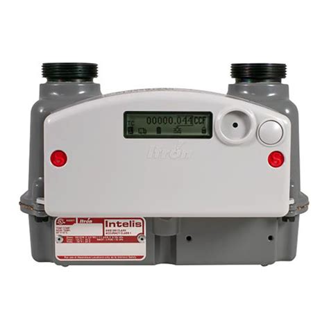 ITRON INTELIS GAS METER INSTALLATION MANUAL Pdf Download | ManualsLib