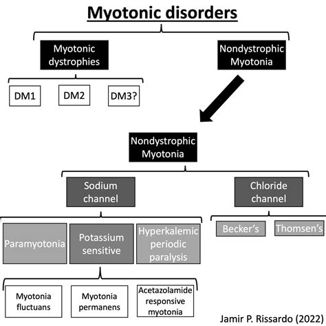 Myotonic disorders! “after a fright, or in an unexpected joyous ...