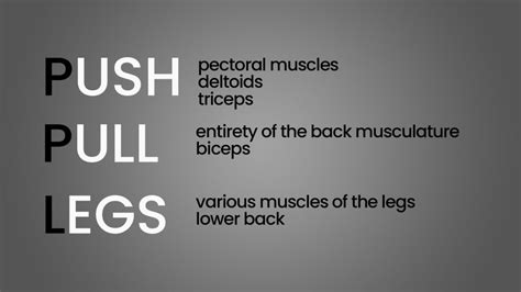 Arnold Split vs PPL (Push/Pull/Legs): Differences Explained - Inspire US