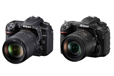 Nikon D7500 vs Nikon D500 | Amateur Photographer