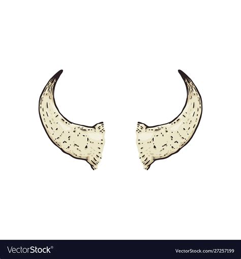 Buffalo hand drawn horns cartoon Royalty Free Vector Image