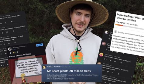 MrBeast Is Going To Plant 20 Million Trees -- With A Little Help From The YouTube Community ...