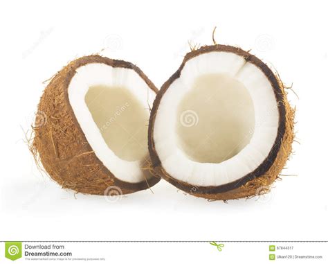 Coconut cut in half stock image. Image of coir, drink - 67844317