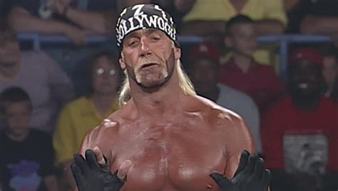 Hulk Hogan nWo | 411MANIA