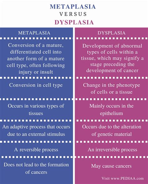 Difference Between Metaplasia and Dysplasia - Pediaa.Com