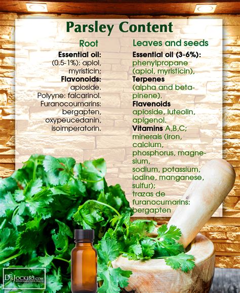 5 Amazing Health Benefits of Parsley | Parsley benefits, Garlic ...