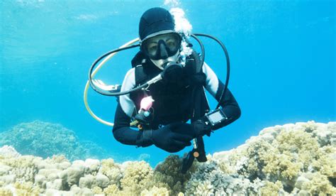 The Ultimate Guide to Scuba Diving Photography 2024