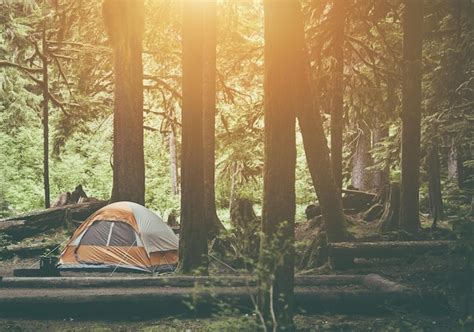 Premium Photo | Tent camping in the forest