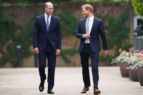 Prince Harry Says Diana Would Be Sad About Rift with Prince William