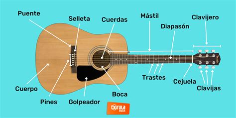 Partes de la Guitarra Acústica: Guía 2023 | Txirula - Blog