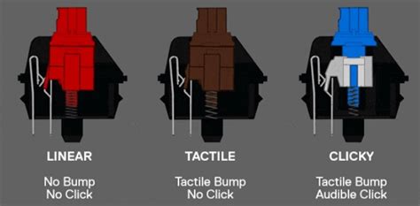 Dincolo de îndoială Terminologie voluntar mechanical keyboard switches chart spirală Extracţie ...