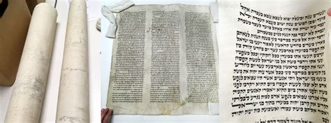 Recent Acquisition: Sefer Torah Scroll Fragments | Beinecke Rare Book & Manuscript Library