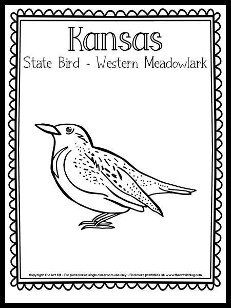 Kansas State Bird Coloring Page (Western Meadowlark!) {FREE Printable ...