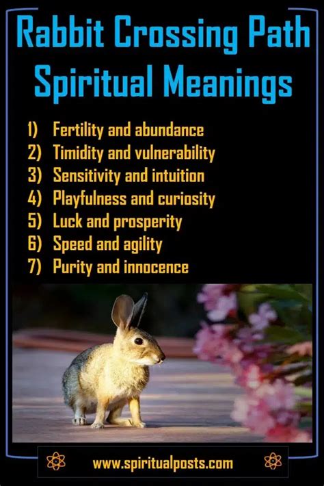 10 Spiritual Meanings of Rabbit Crossing Your Path | Spiritual Posts