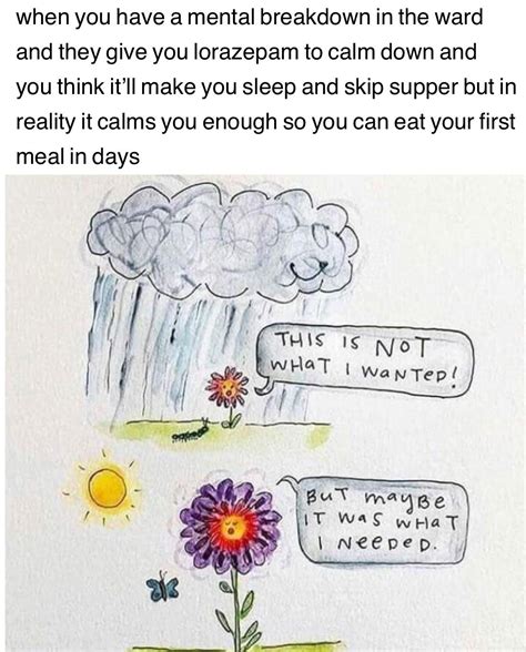 a nicer meme from the me that’s feeling good about food for the moment : r/overlyspecificEDmemes