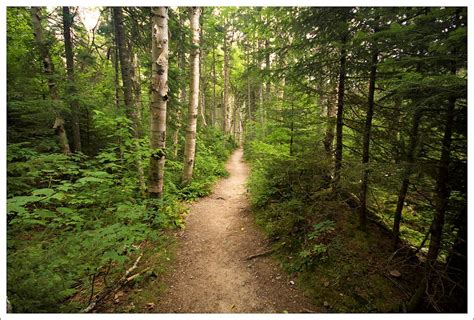 Bretton Woods Hiking Trails - Unveiling the Majestic Beauty - Mount ...