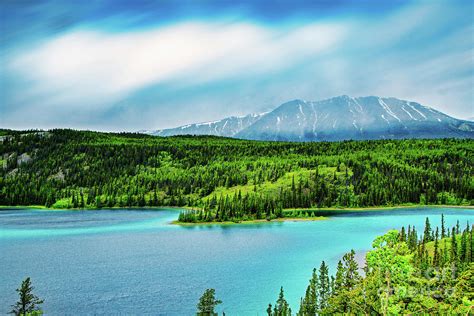 Yukon Emerald Lake Landscape Photograph by Charline Xia - Fine Art America