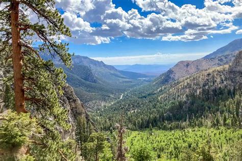 15 Mount Charleston Hiking Trails: Our Favorites