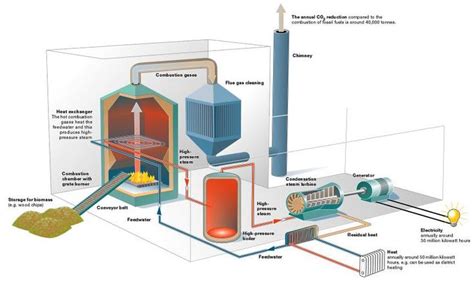 biomass energy model | Biomass energy, Renewable sources of energy ...