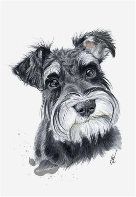 Awesome #schnauzers detail is offered on our internet site. Have a look ...